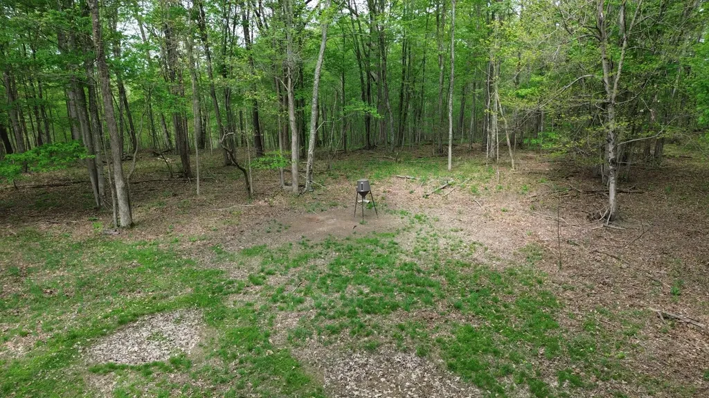 694A Tunnel Ridge Road Argillite KY 41121