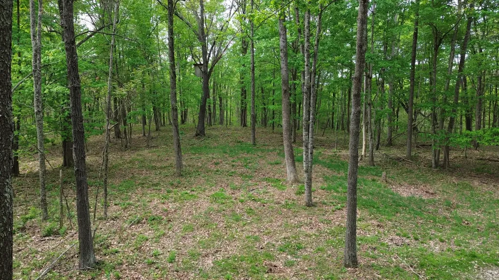 694A Tunnel Ridge Road Argillite KY 41121
