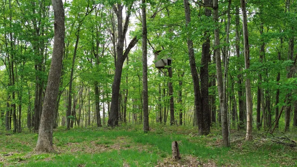 694A Tunnel Ridge Road Argillite KY 41121