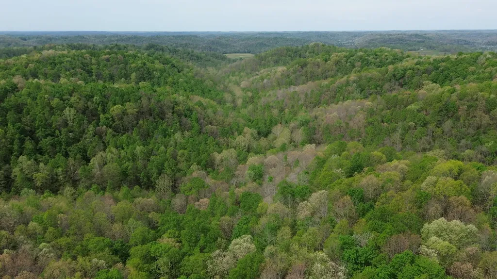 694A Tunnel Ridge Road Argillite KY 41121