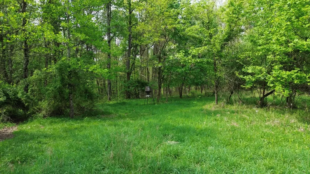 694A Tunnel Ridge Road Argillite KY 41121
