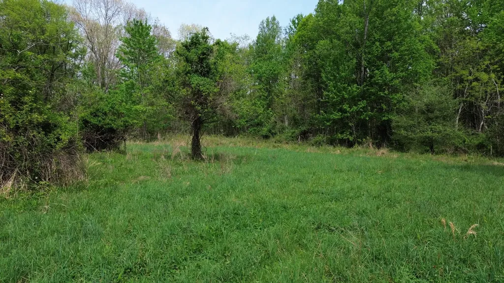 694A Tunnel Ridge Road Argillite KY 41121