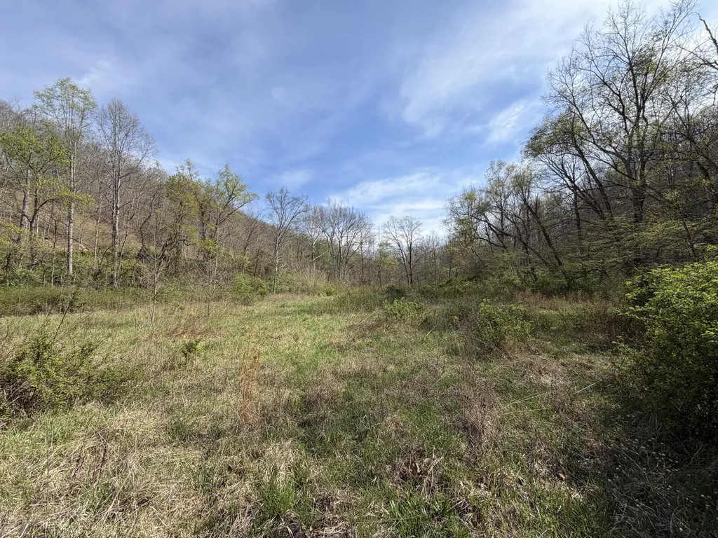 694A Tunnel Ridge Road Argillite KY 41121