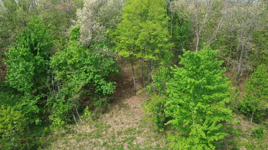 694A Tunnel Ridge Road Argillite KY 41121