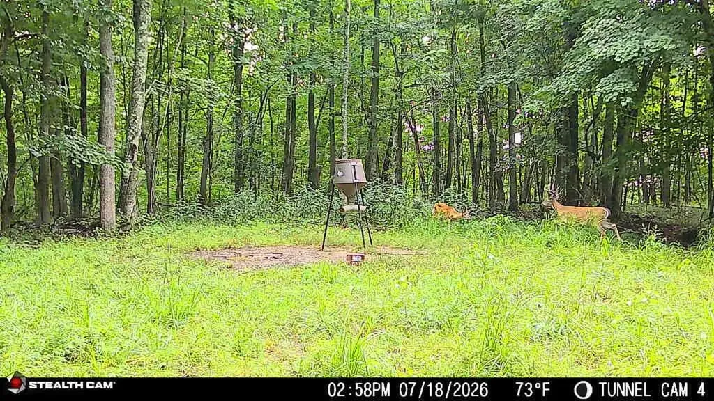 1271A Tunnel Ridge Road Argillite KY 41121