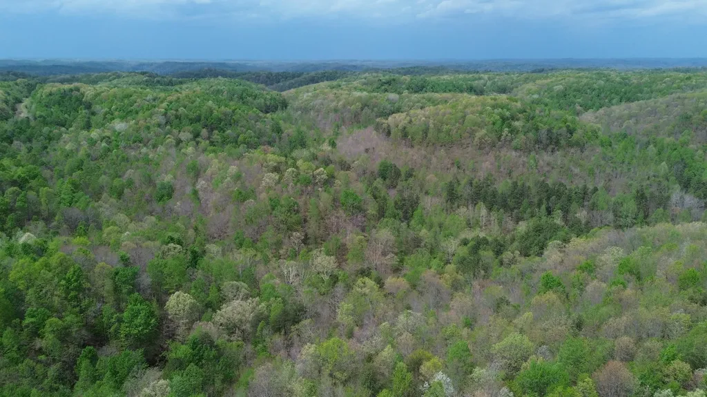 1271A Tunnel Ridge Road Argillite KY 41121