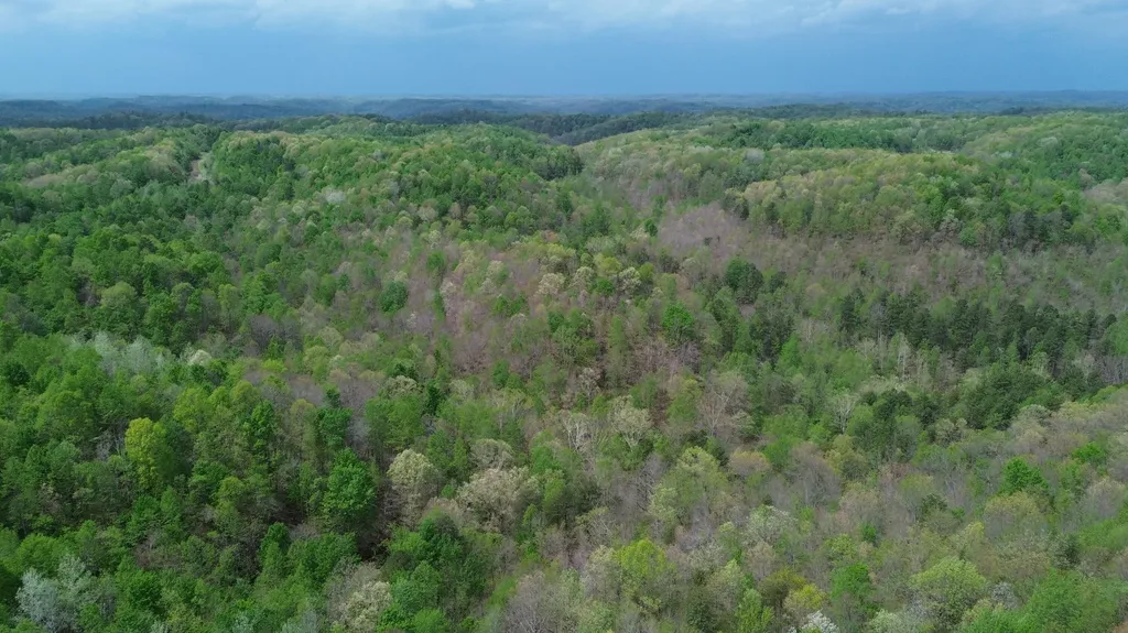 1271A Tunnel Ridge Road Argillite KY 41121