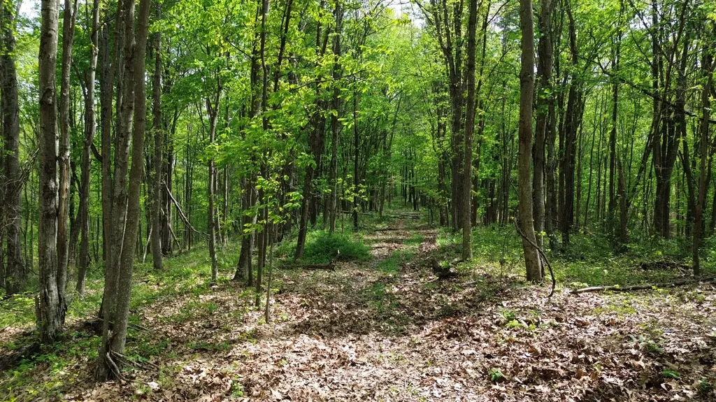 1271A Tunnel Ridge Road Argillite KY 41121