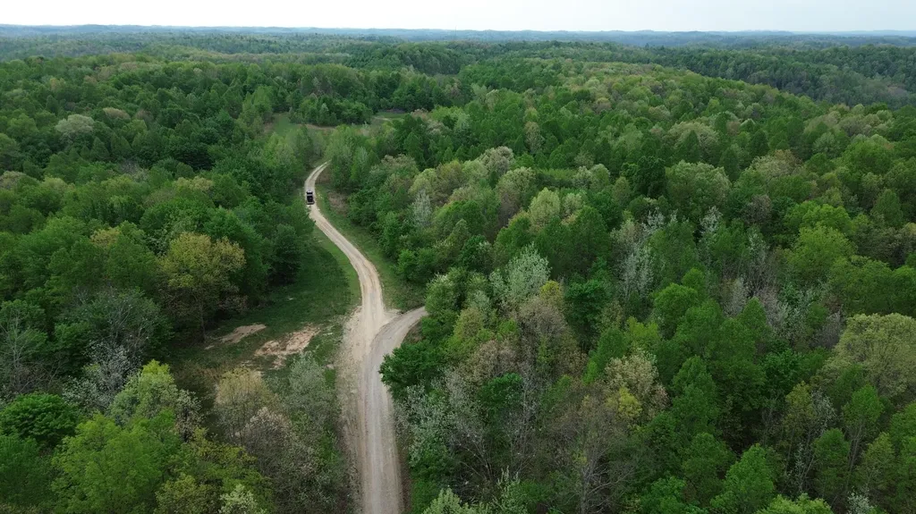 1271A Tunnel Ridge Road Argillite KY 41121