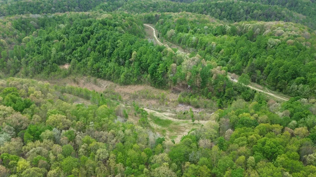 1271A Tunnel Ridge Road Argillite KY 41121