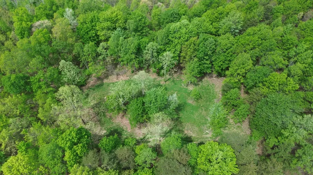 1271A Tunnel Ridge Road Argillite KY 41121