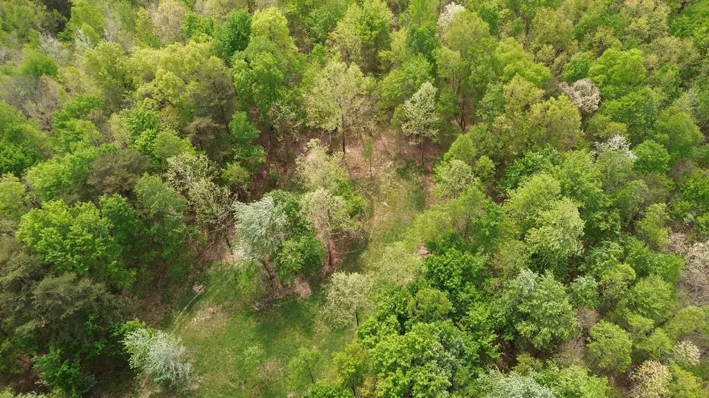 1271A Tunnel Ridge Road Argillite KY 41121