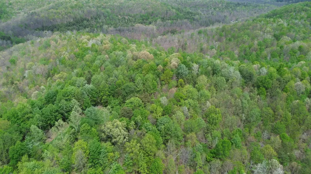 1271A Tunnel Ridge Road Argillite KY 41121