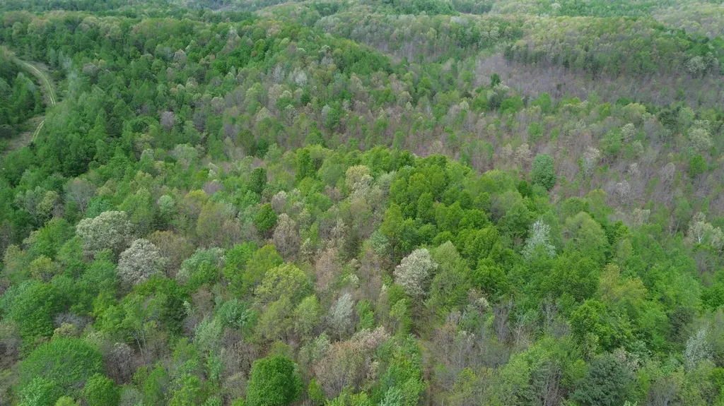 1271A Tunnel Ridge Road Argillite KY 41121