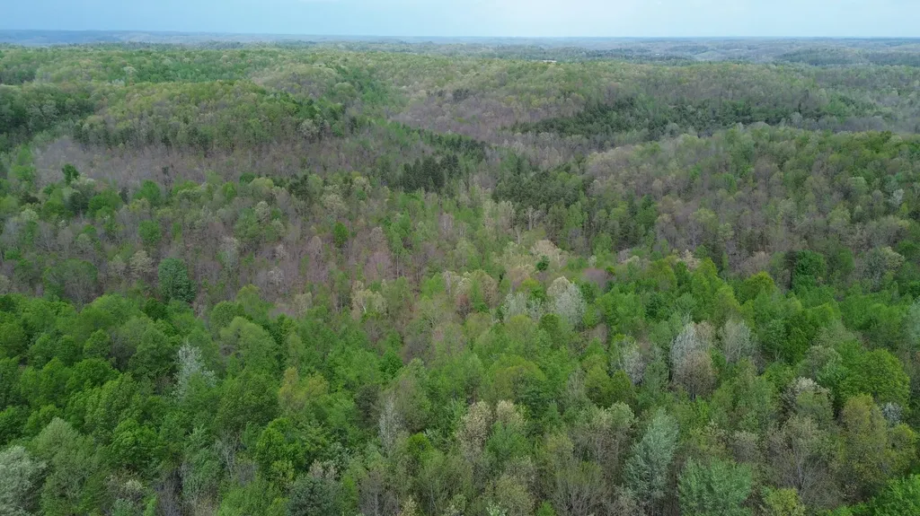 1271A Tunnel Ridge Road Argillite KY 41121