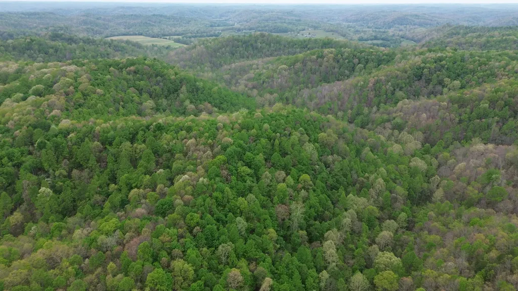 1271A Tunnel Ridge Road Argillite KY 41121