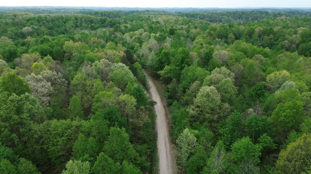 1271A Tunnel Ridge Road Argillite KY 41121