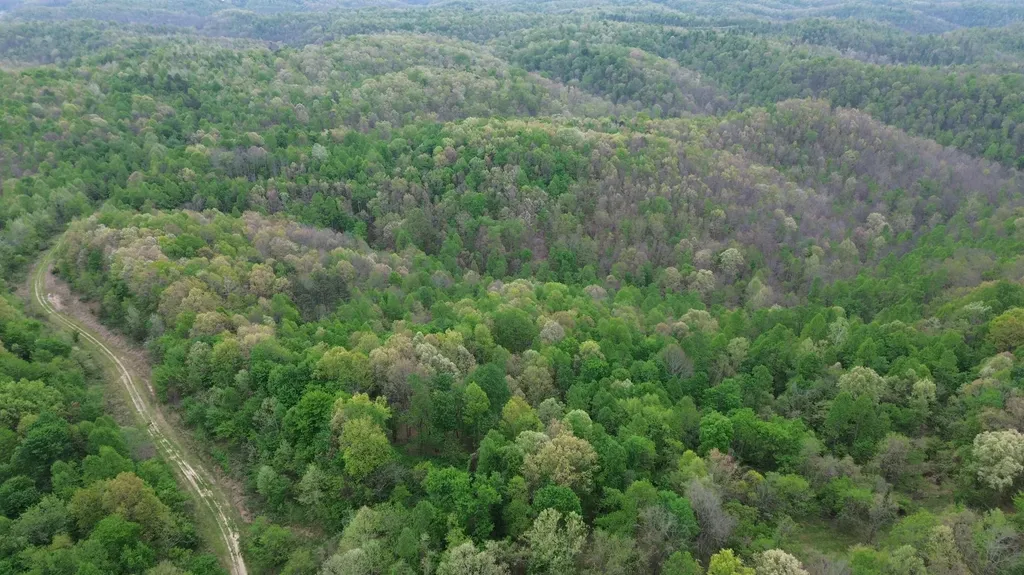 1271A Tunnel Ridge Road Argillite KY 41121