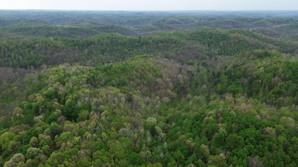 1271A Tunnel Ridge Road Argillite KY 41121