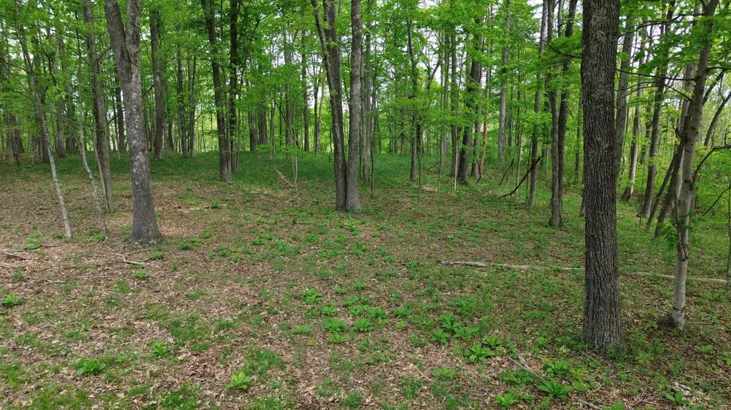 1271A Tunnel Ridge Road Argillite KY 41121