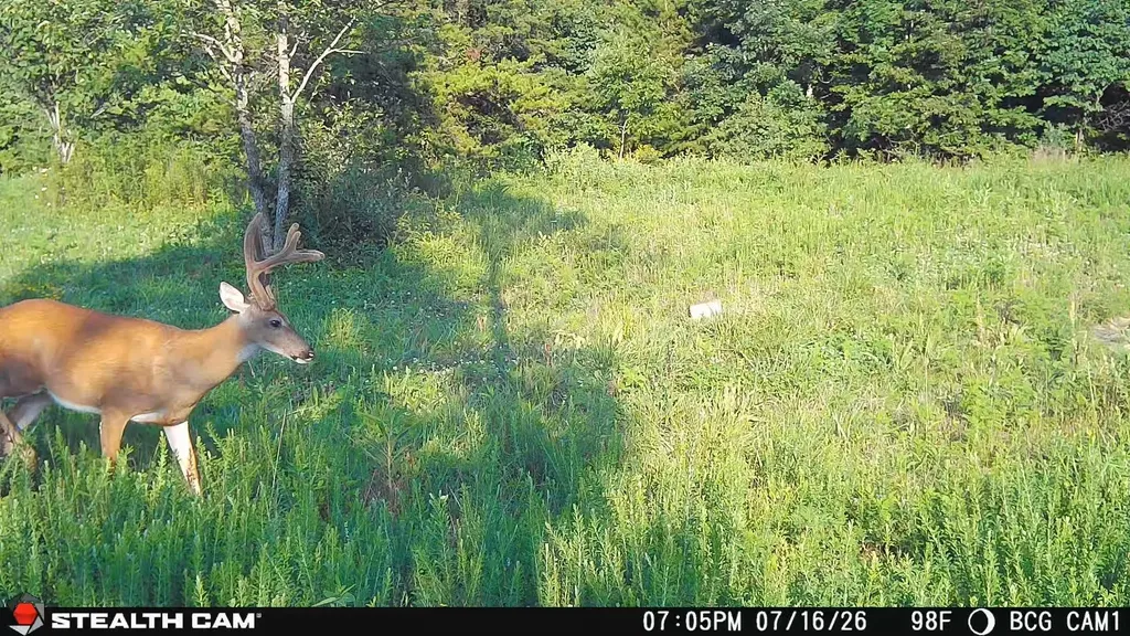 1271A Tunnel Ridge Road Argillite KY 41121