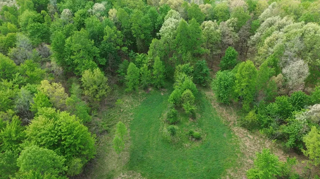 1271A Tunnel Ridge Road Argillite KY 41121