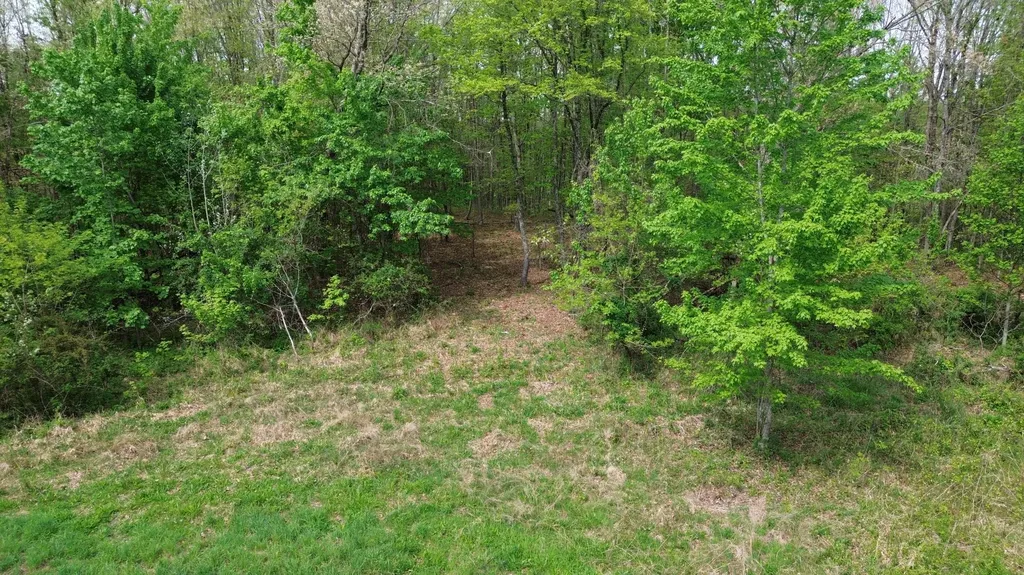 1271A Tunnel Ridge Road Argillite KY 41121