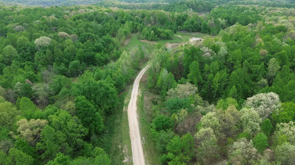 1271A Tunnel Ridge Road Argillite KY 41121