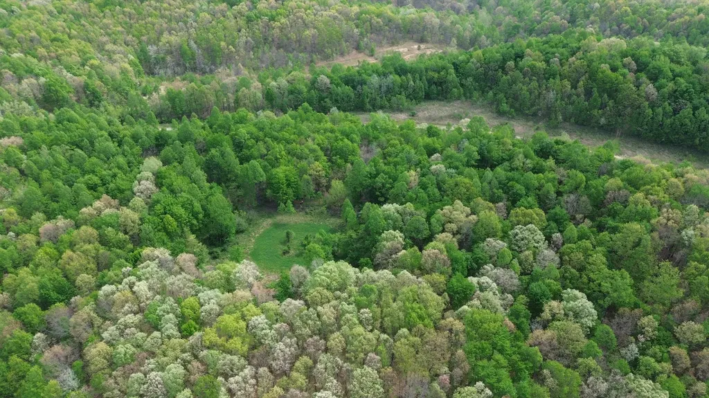 1271A Tunnel Ridge Road Argillite KY 41121