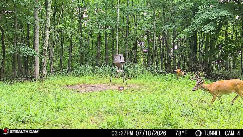 1271A Tunnel Ridge Road Argillite KY 41121
