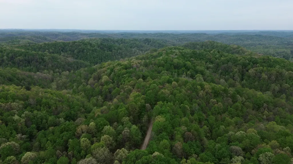 1271A Tunnel Ridge Road Argillite KY 41121