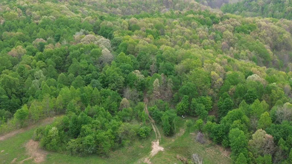 1271A Tunnel Ridge Road Argillite KY 41121