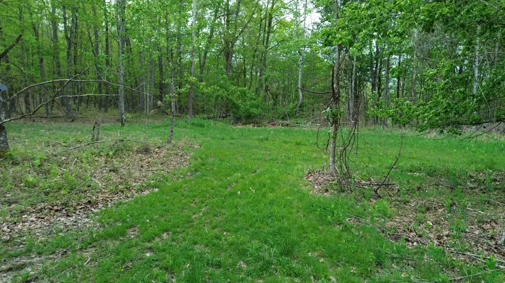 1271A Tunnel Ridge Road Argillite KY 41121