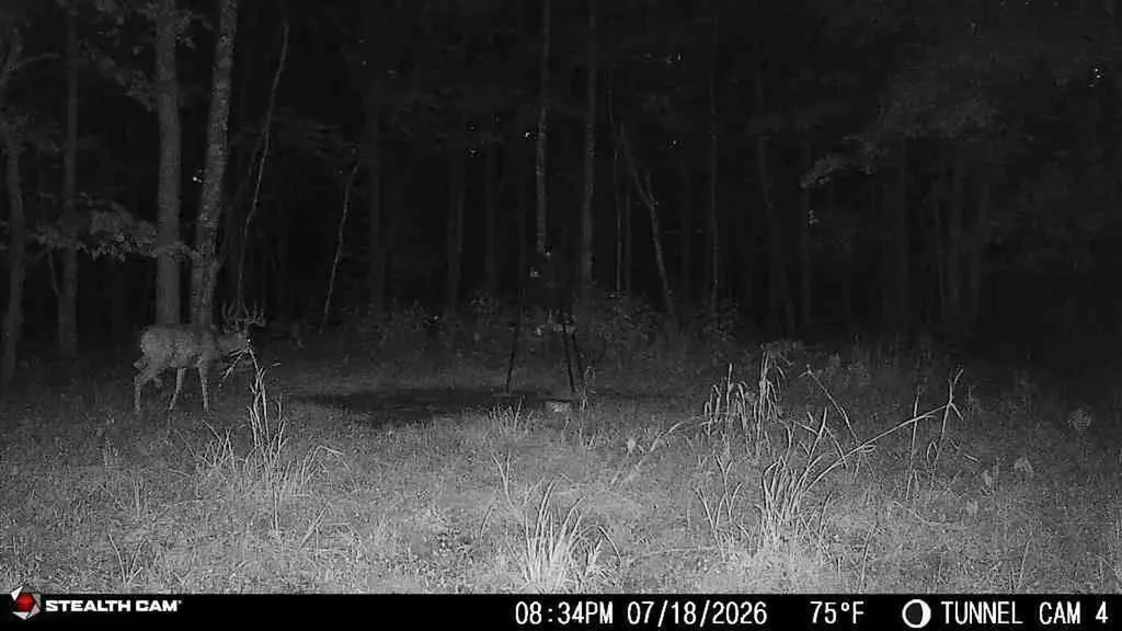 1271A Tunnel Ridge Road Argillite KY 41121