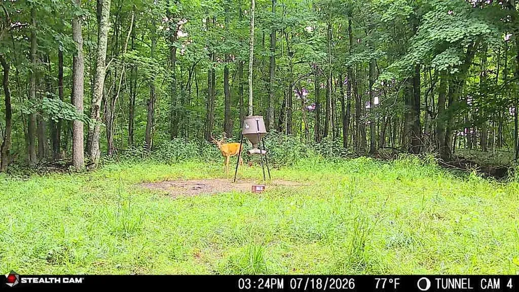 1271A Tunnel Ridge Road Argillite KY 41121