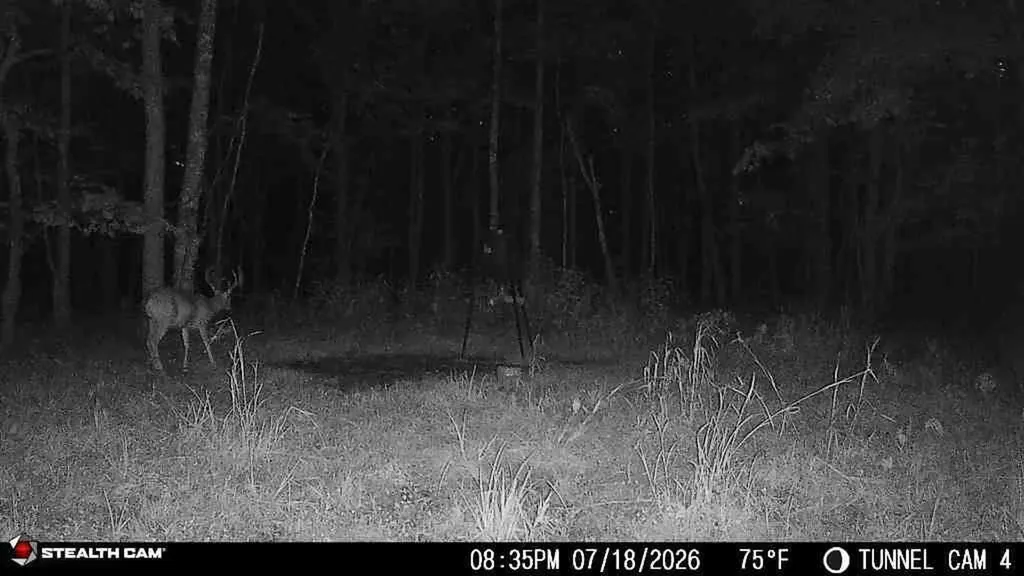 1271A Tunnel Ridge Road Argillite KY 41121