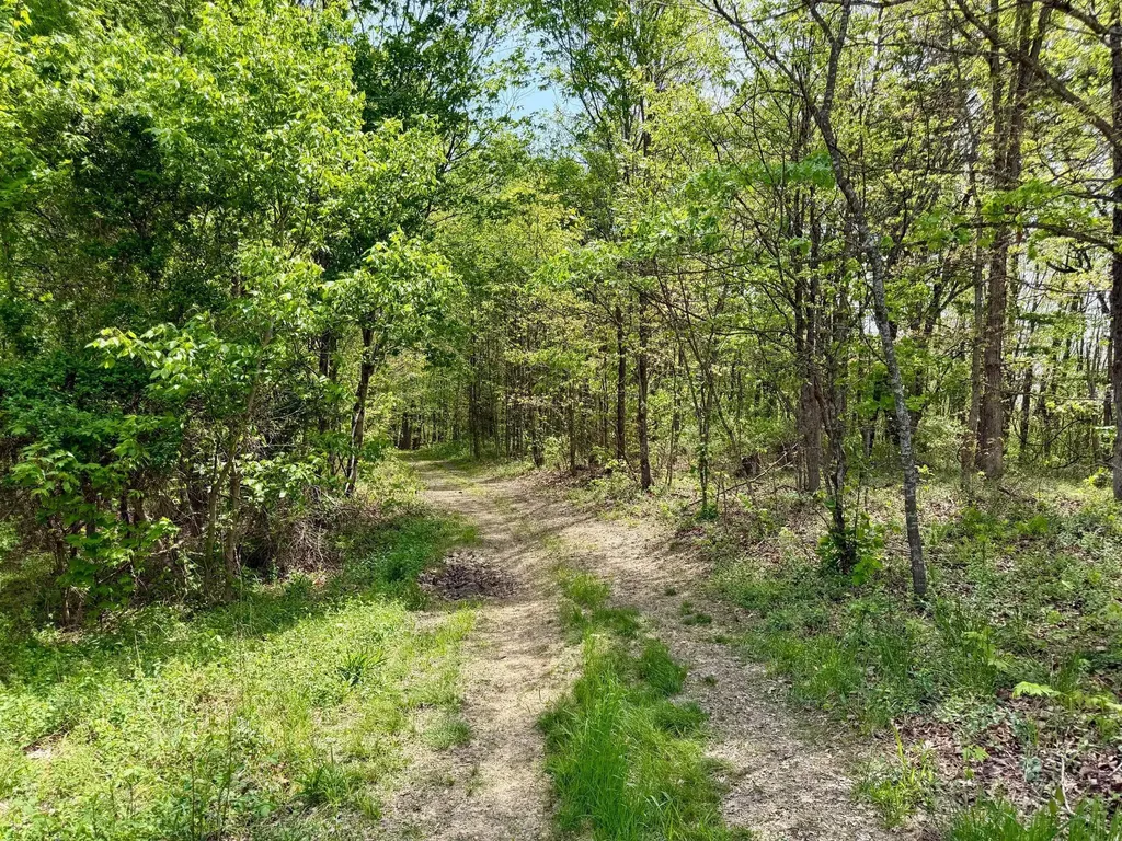 1271A Tunnel Ridge Road Argillite KY 41121