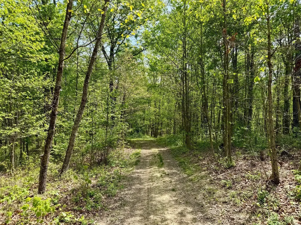 1271A Tunnel Ridge Road Argillite KY 41121