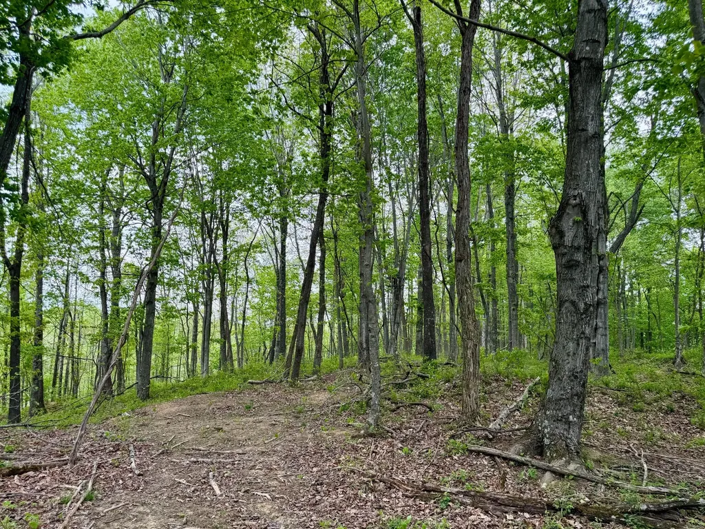 1271A Tunnel Ridge Road Argillite KY 41121