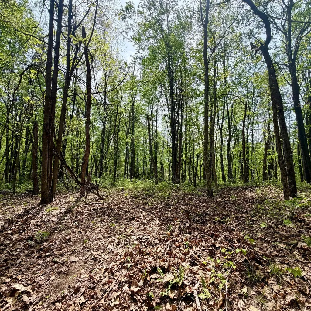 1271A Tunnel Ridge Road Argillite KY 41121