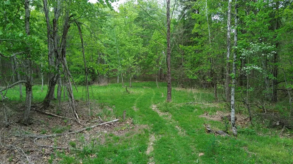 1271A Tunnel Ridge Road Argillite KY 41121