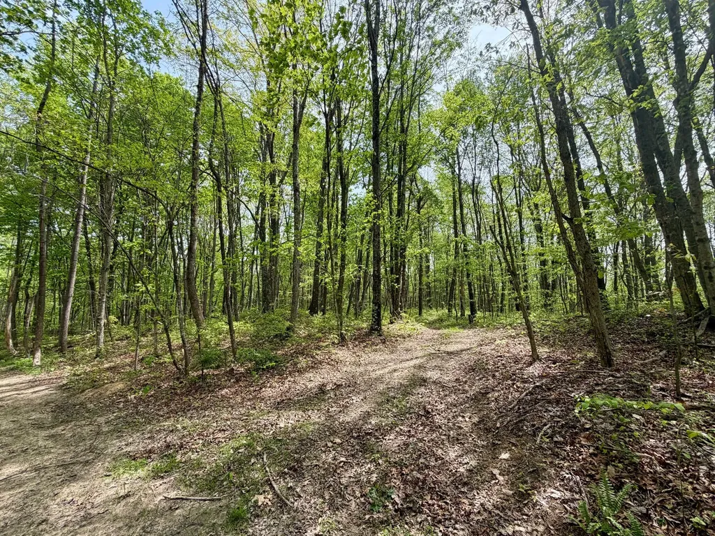 1271A Tunnel Ridge Road Argillite KY 41121
