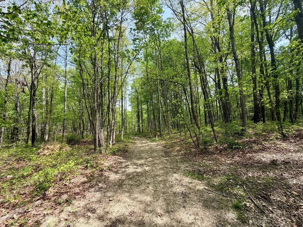 1271A Tunnel Ridge Road Argillite KY 41121