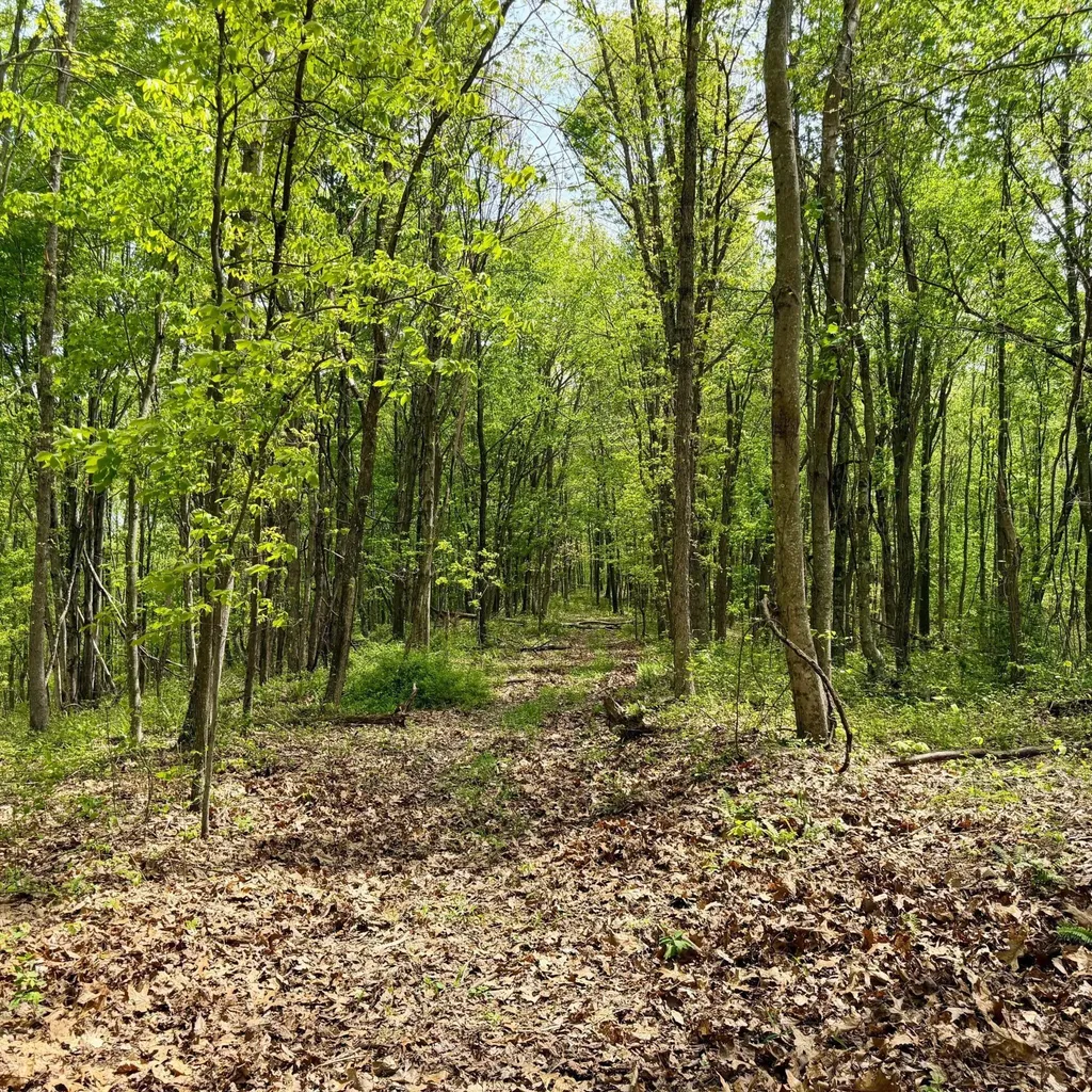 1271A Tunnel Ridge Road Argillite KY 41121