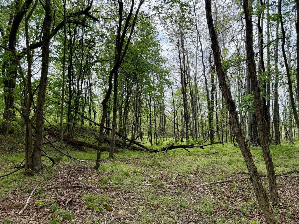 1271A Tunnel Ridge Road Argillite KY 41121