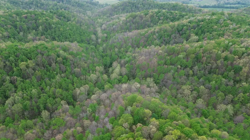 1271A Tunnel Ridge Road Argillite KY 41121