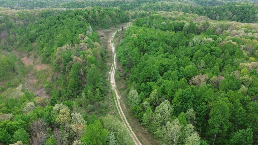 1271A Tunnel Ridge Road Argillite KY 41121