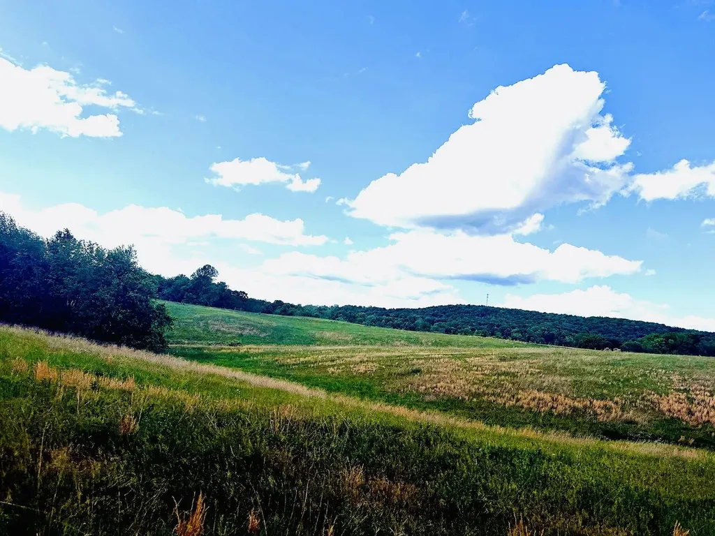 02 Simpson Hollow Road Monticello KY 42633