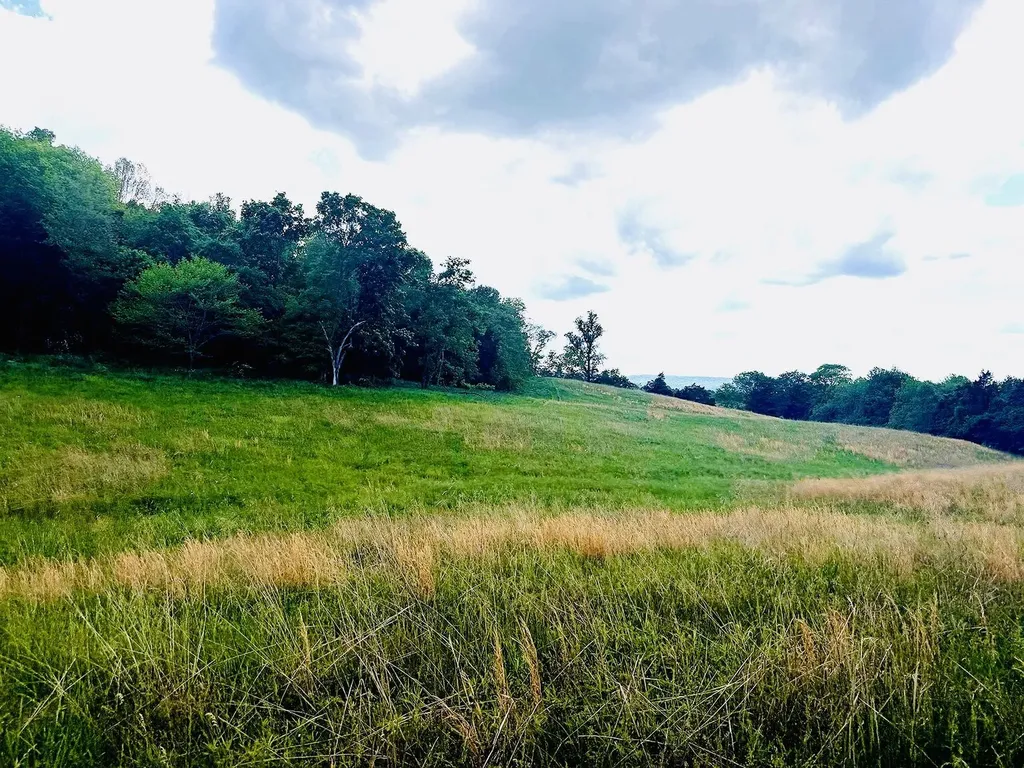 02 Simpson Hollow Road Monticello KY 42633