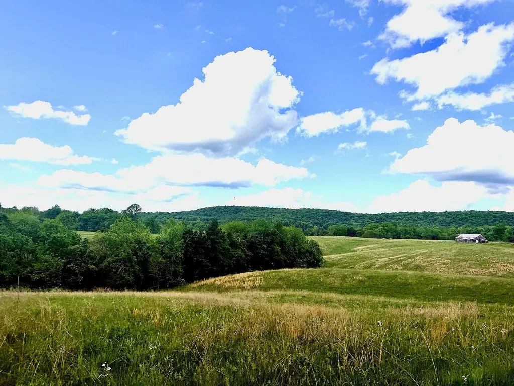02 Simpson Hollow Road Monticello KY 42633